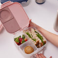Load image into Gallery viewer, Mini Lunchbox - Blush Crush