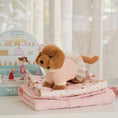 Load image into Gallery viewer, Dalia Dachshund Plush Toy