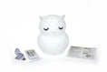 Load image into Gallery viewer, Blinky The Owl - Bedtime Buddy - Night Light