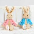 Load image into Gallery viewer, Peter Rabbit - Bean Rattle Soft Toy