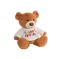 Load image into Gallery viewer, Happy Birthday Teddy Bear Plush 21cm