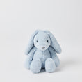 Load image into Gallery viewer, Pale Blue - Bunny Hamper Gift Set
