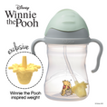 Load image into Gallery viewer, Winnie The Pooh - Disney - Sippy Cup