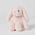 Load image into Gallery viewer, Pink Bunny Small