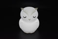 Load image into Gallery viewer, Blinky The Owl - Bedtime Buddy - Night Light
