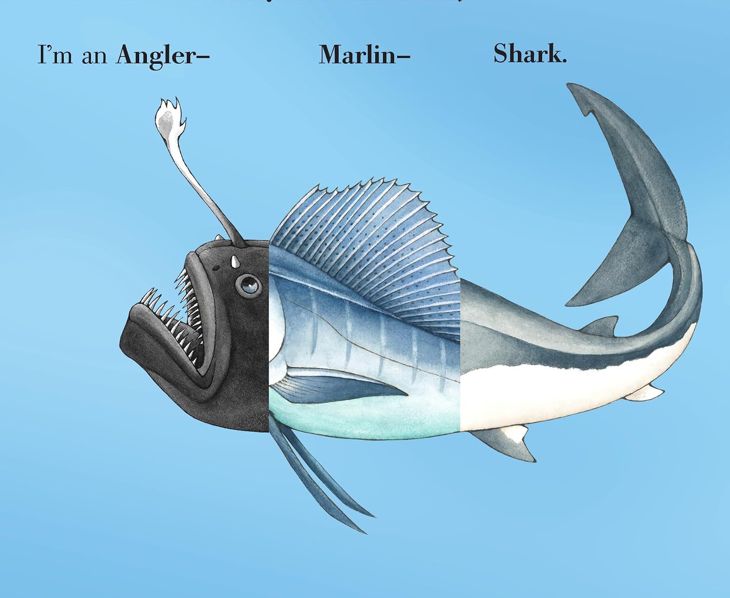 Flip-A-Fin - Sara Ball | Children's Book