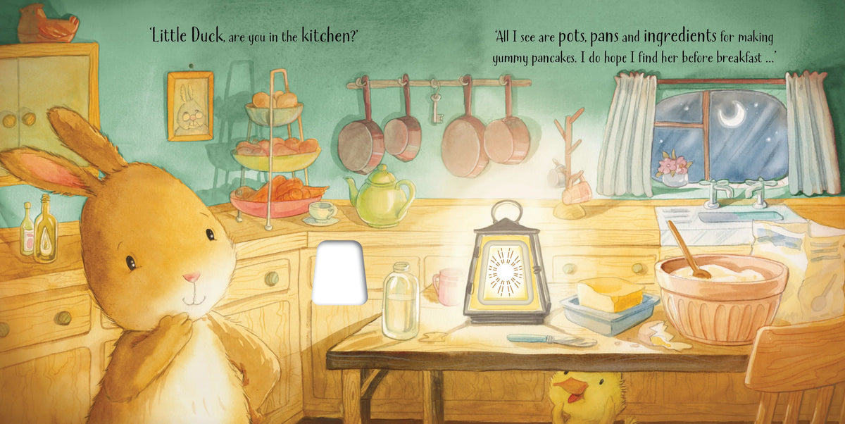 Hide and Seek by Lantern Light - Night Light Picture Book