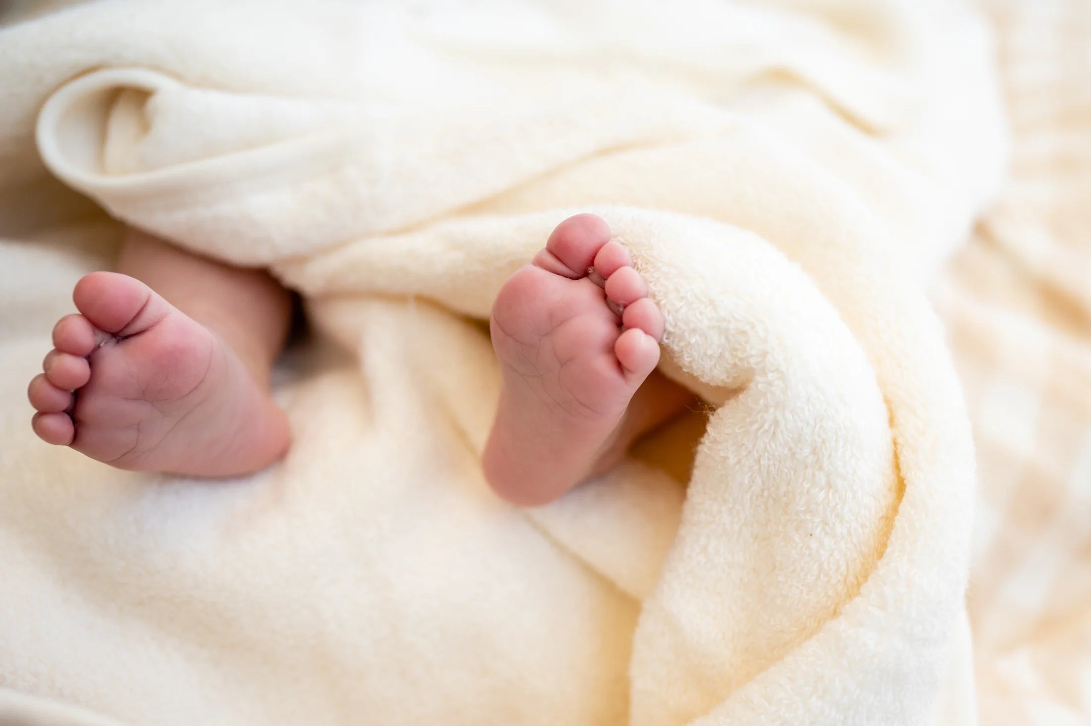 Organic Baby Hooded Bath Towel