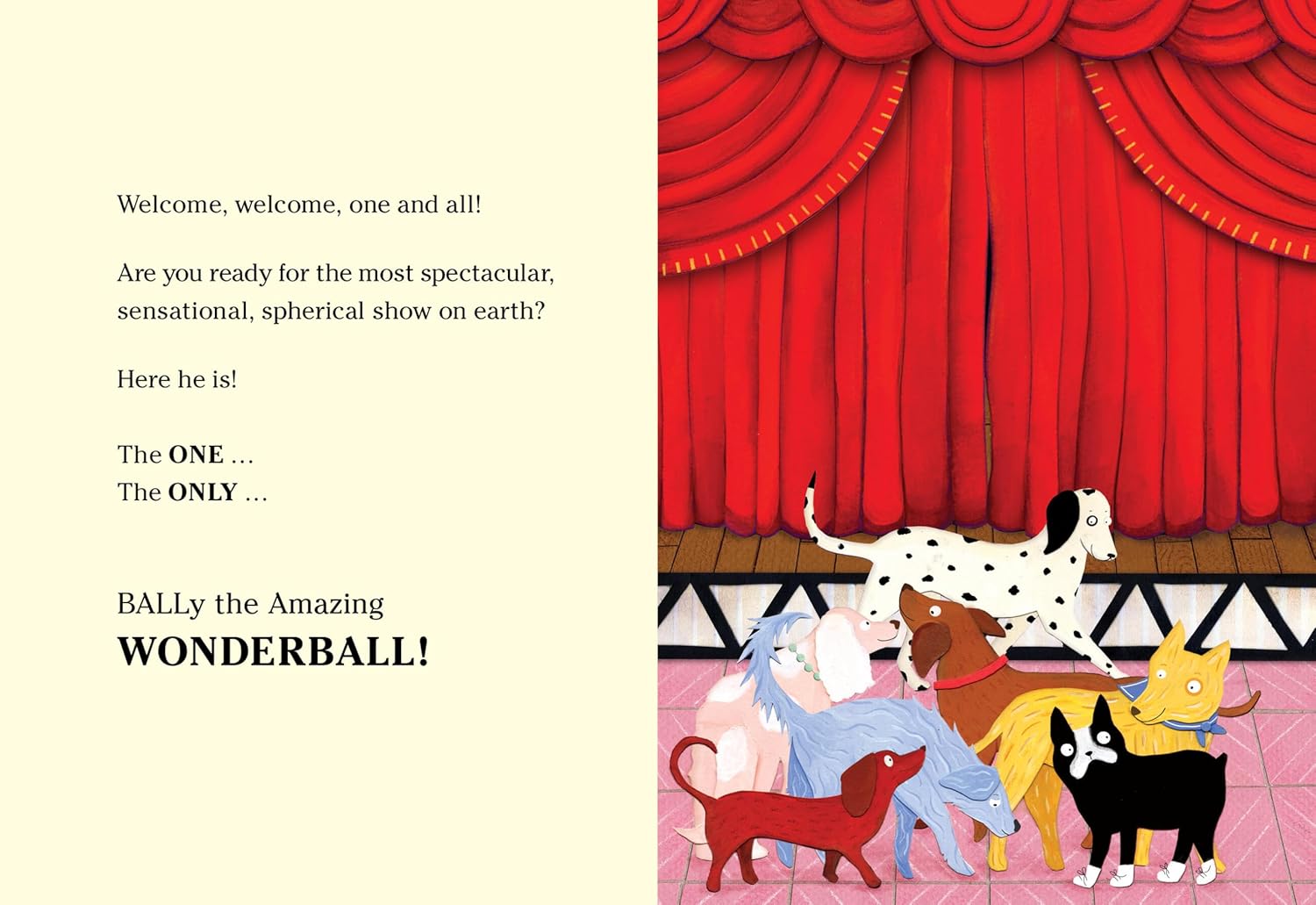 BALLy the Amazing Wonderball Book By Jordan Morris