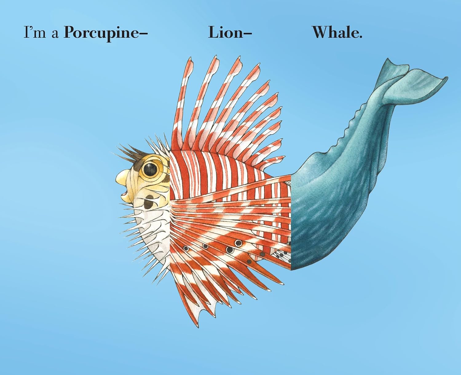 Flip-A-Fin - Sara Ball | Children's Book