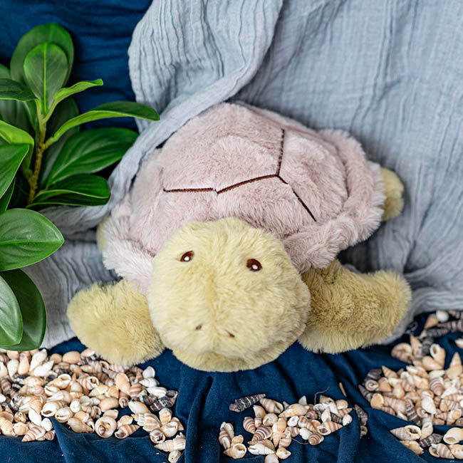 Turtle Merlin Plush Toy