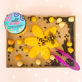 Load image into Gallery viewer, Buttercup Gold Playdough - Wild Dough
