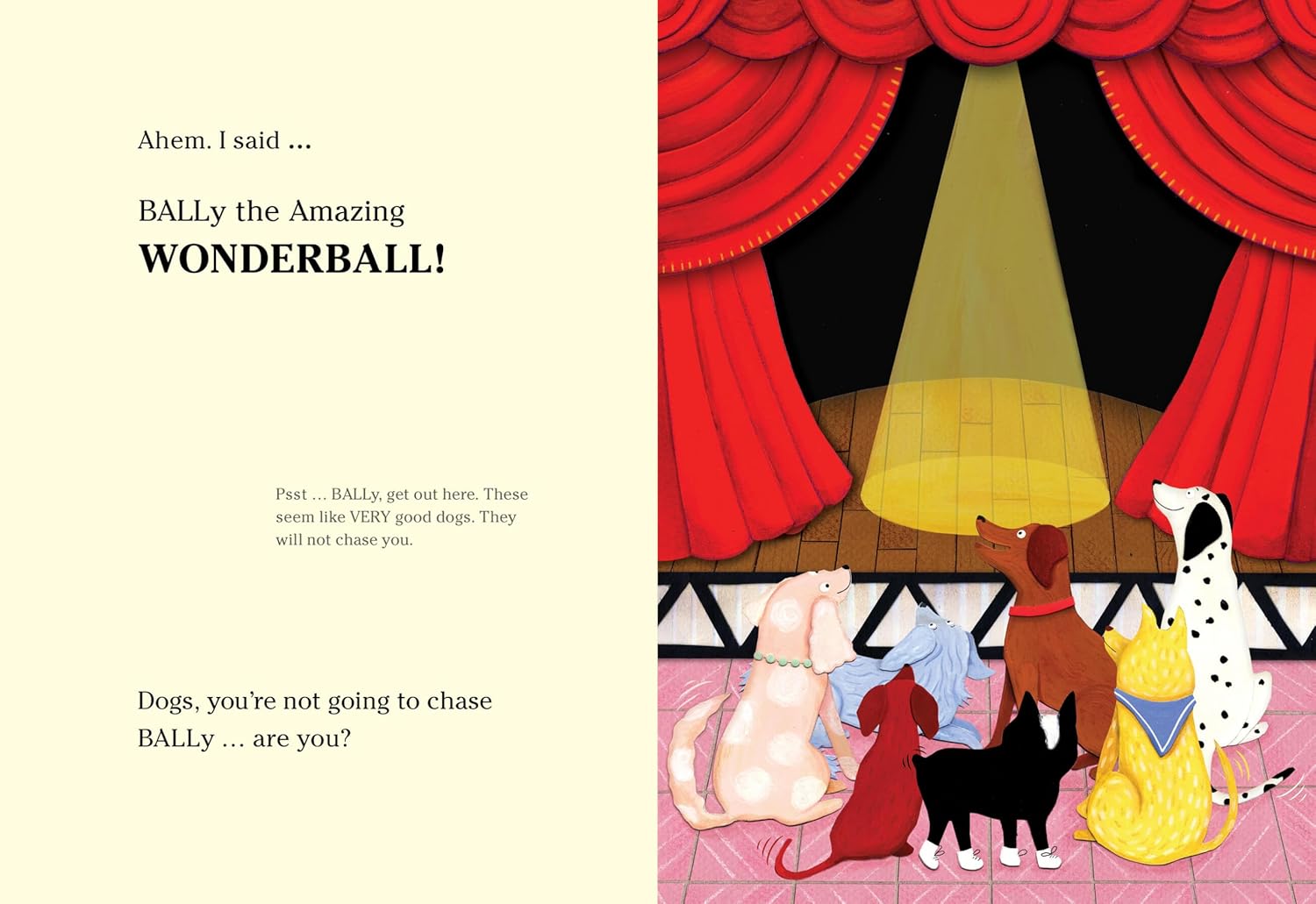 BALLy the Amazing Wonderball Book By Jordan Morris