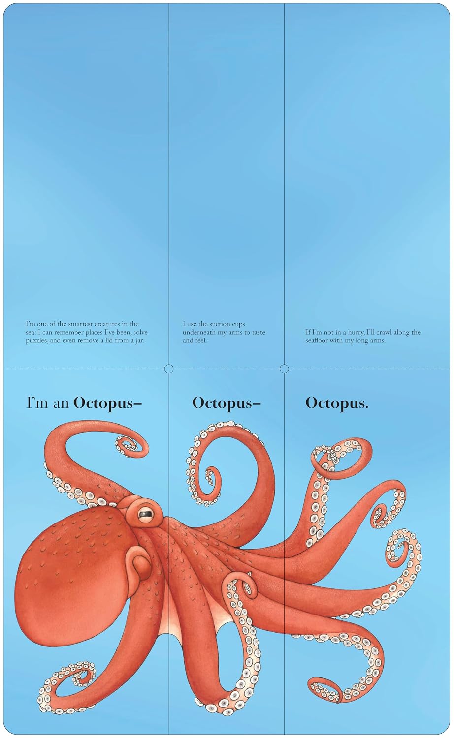 Flip-A-Fin - Sara Ball | Children's Book