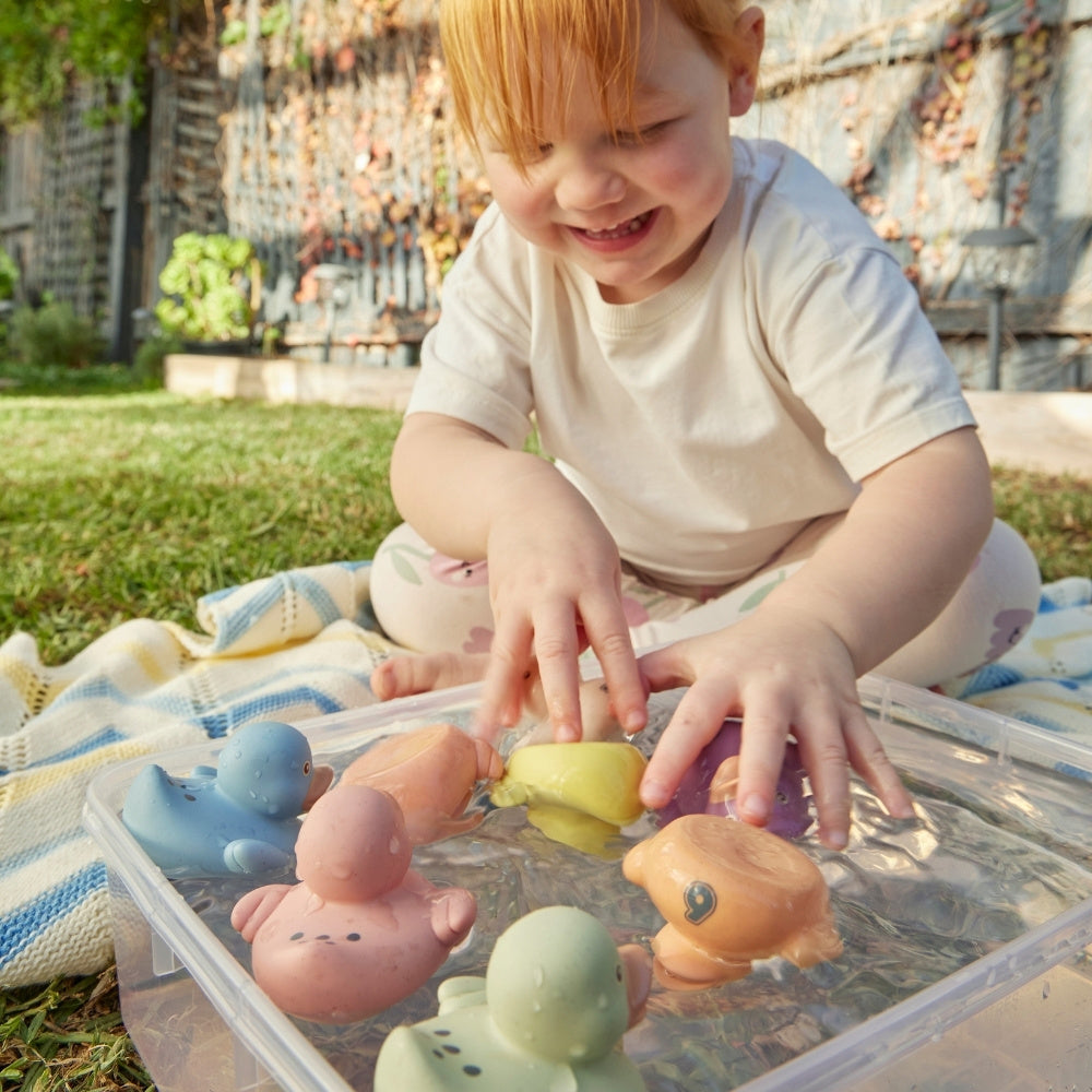 Eco-Friendly Counting Ducks