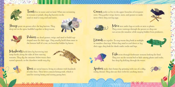 Barefoot Baby-Proof: Over The Meadow