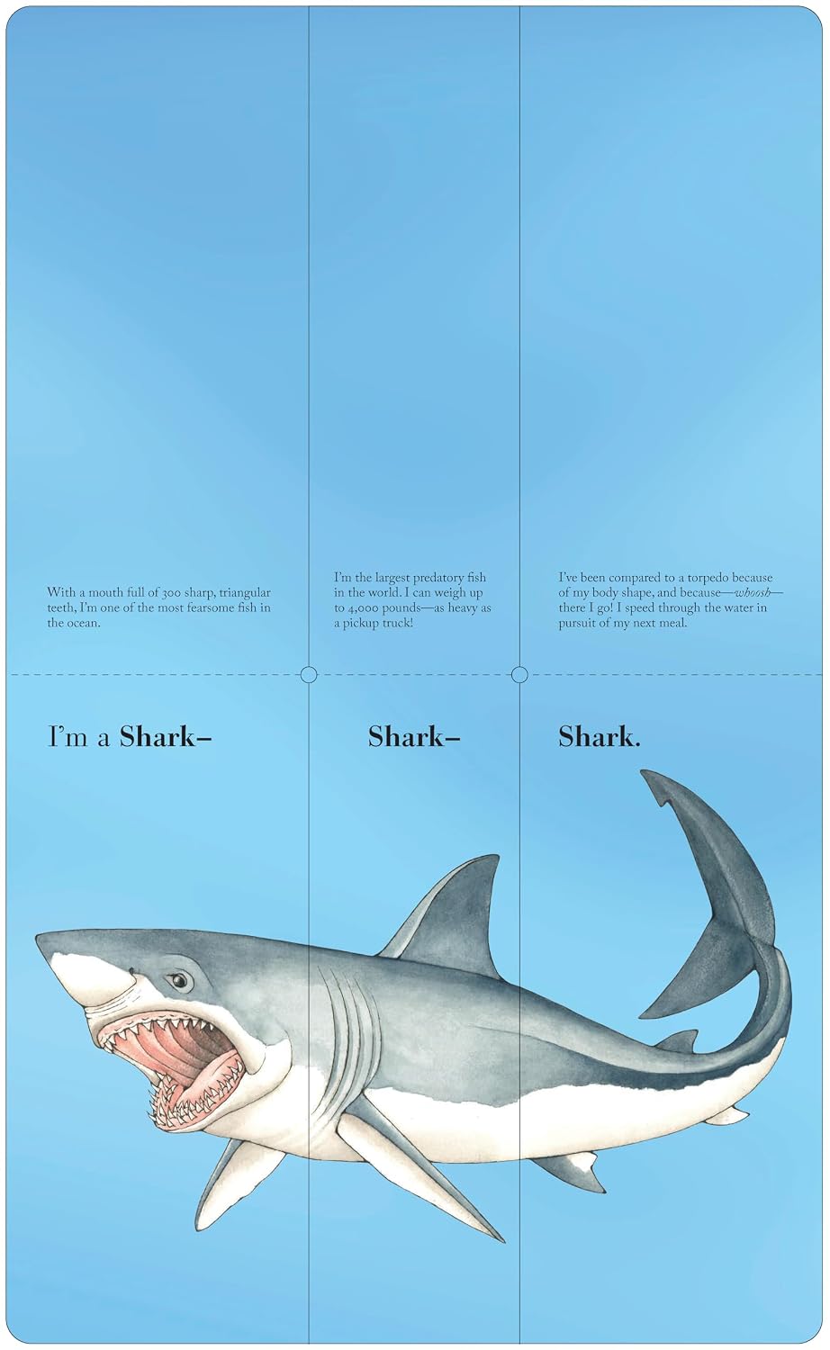 Flip-A-Fin - Sara Ball | Children's Book