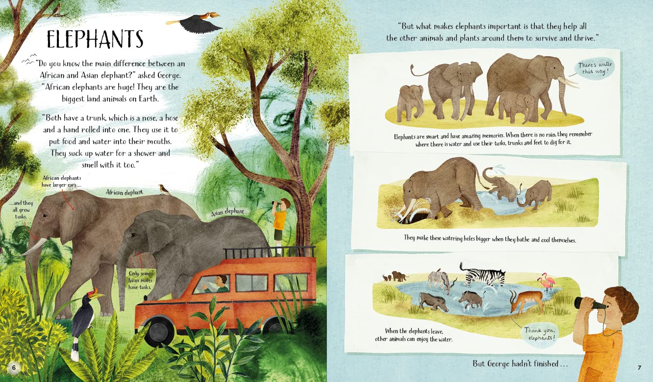 The Most Important Animal of All By Worms, Penny