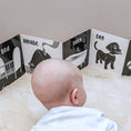 Load image into Gallery viewer, Welcome To The World Little One Black and White Baby Book
