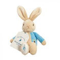 Load image into Gallery viewer, Peter Rabbit - Bean Rattle Soft Toy
