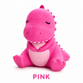 Load image into Gallery viewer, Pullie Pal Stretch T-Rex
