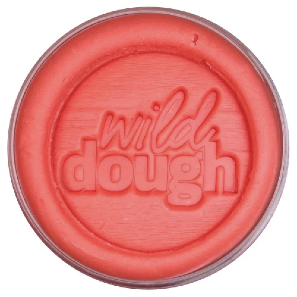 Rudolph Red Playdough - Wild Dough