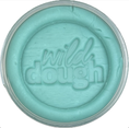 Load image into Gallery viewer, Sea Glass Teal Playdough - Wild Dough
