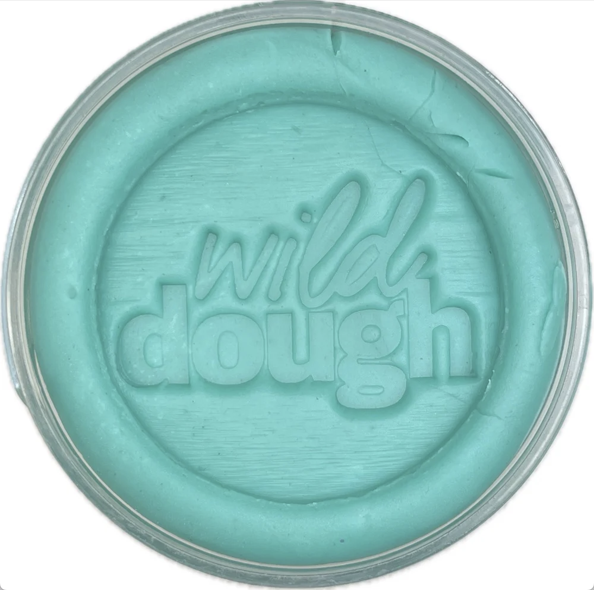 Sea Glass Teal Playdough - Wild Dough