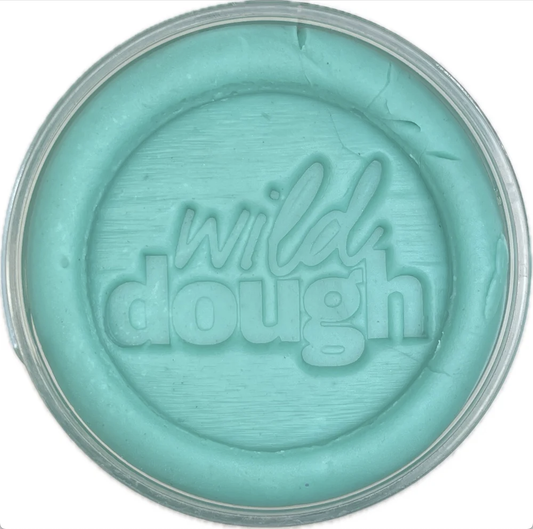 Sea Glass Teal Playdough - Wild Dough