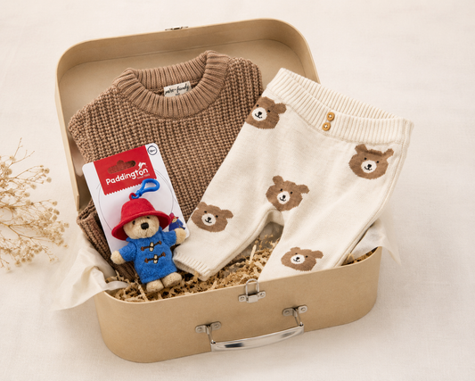 Little Teddy Bear Suitcase Gift Box