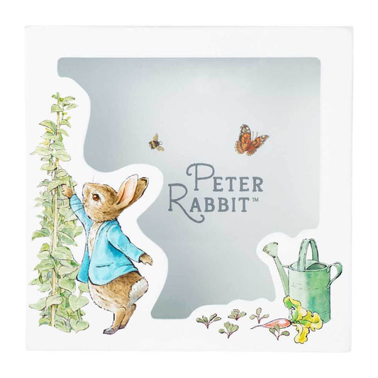 Money Box | Peter Rabbit