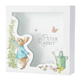 Load image into Gallery viewer, Money Box | Peter Rabbit
