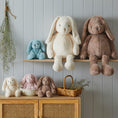 Load image into Gallery viewer, Aqua Bunny Small Success: Sitting on a shelf surrounded by other plush toys in a cozy bedroom scene, ready to bring joy to any child.
